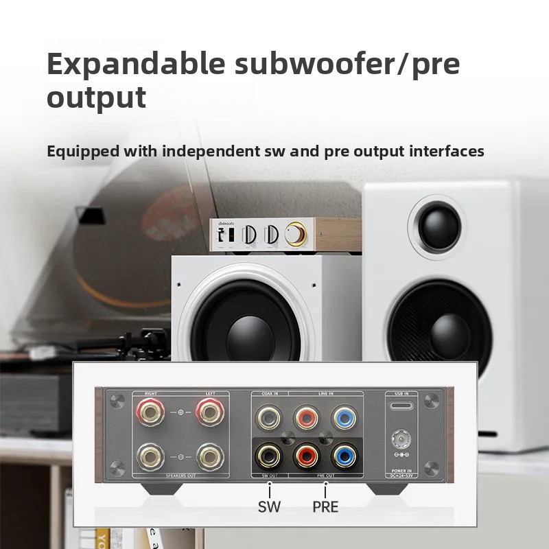 FiiO Horizon Level 1 High Powe - Audio Music System For Home recension och pris