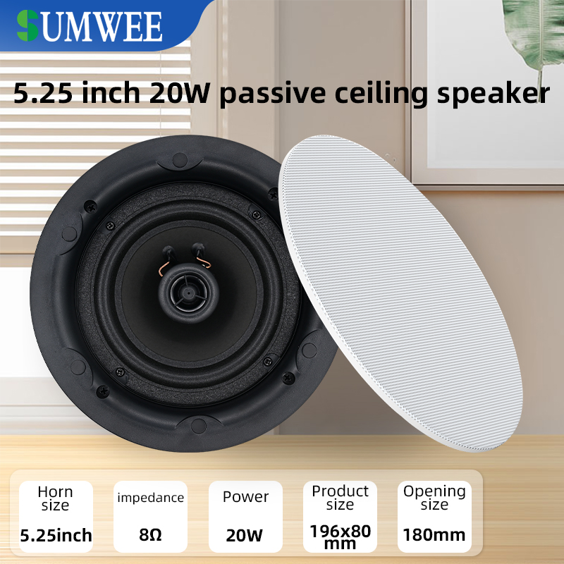 5.25 inch 8 ohm Ceiling Speake - Audio Music System For Home recension och pris