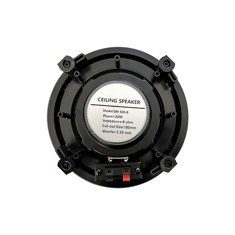 5.25 inch 8 ohm Ceiling Speake - Audio Music System For Home recension och pris